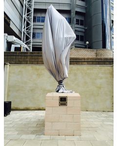 The Alan Shearer Statue at St James Park - Commissioned by Freddie Shepherd